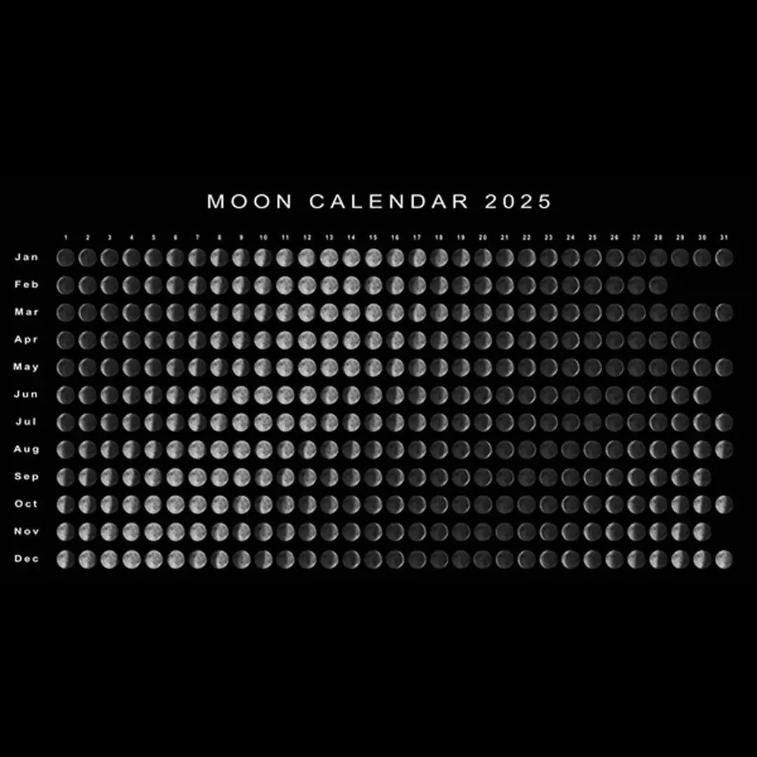 PARAGAMI 15_01 - LUNAR CALENDAR 2025 - SINGLE COLOUR